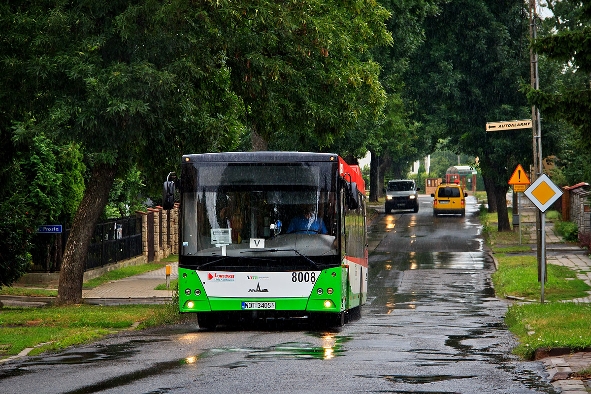 МАЗ 203057 #8008