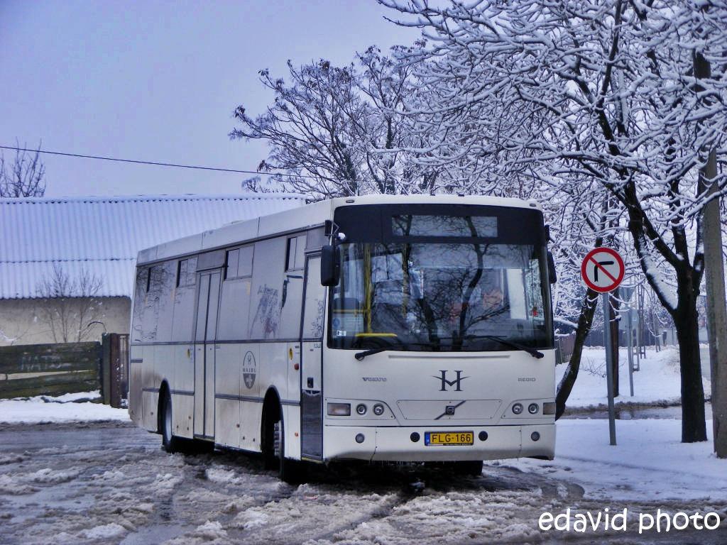 Volvo B7RLE / Alfa Regio #FLG-166