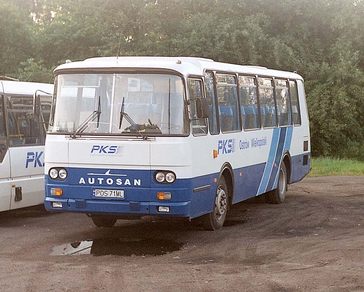 Autosan H9-21 #POS 71ML